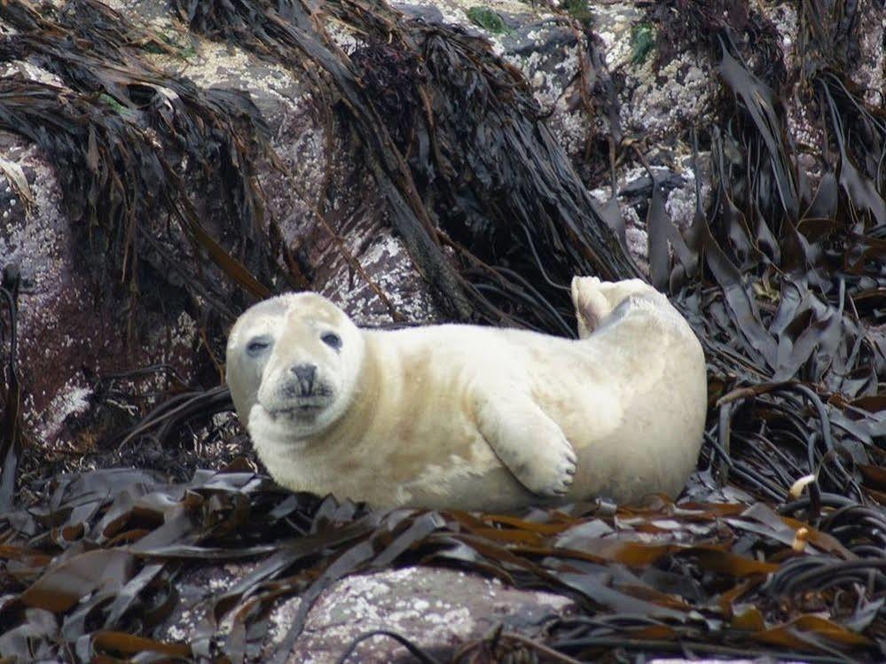 Farne Island Rooms Seahouses Exterior foto